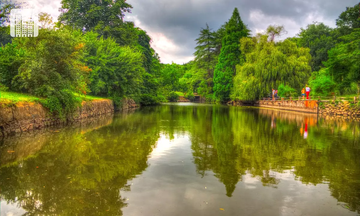 Best Forests in Istanbul