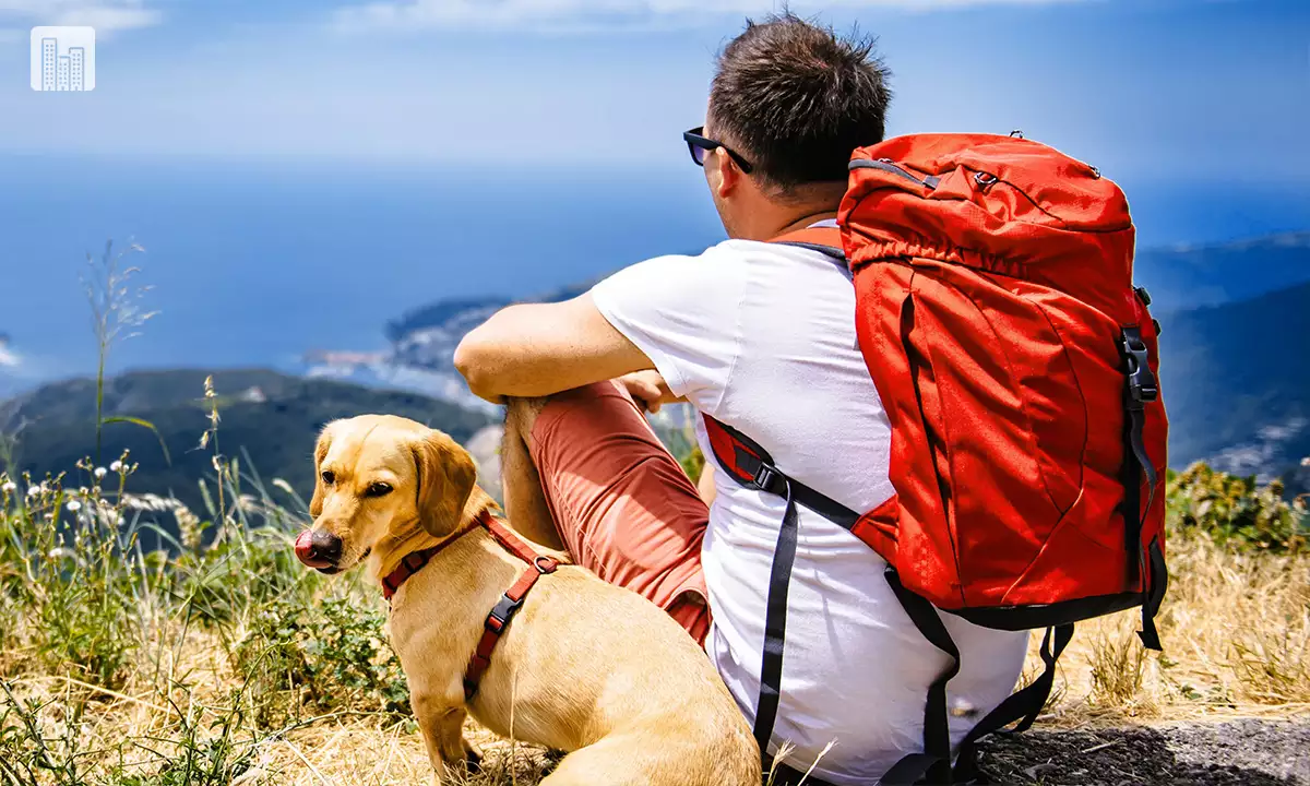 Flying with your pets