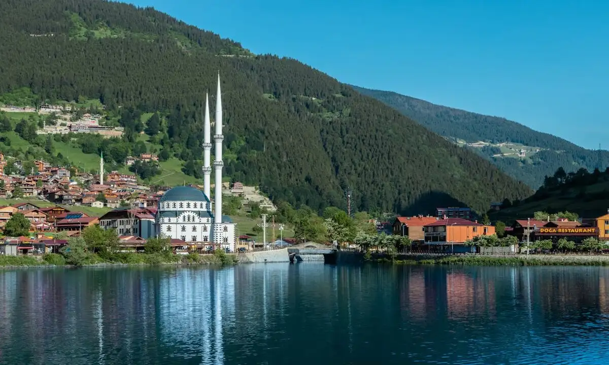 How Much is Property Tax in Trabzon?