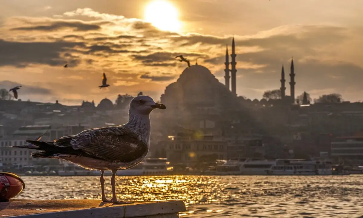 4 Unmissable Spots for Expats Living in Istanbul